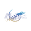 Honkai: Star Rail
